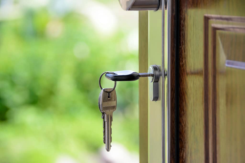 Front Door Locks